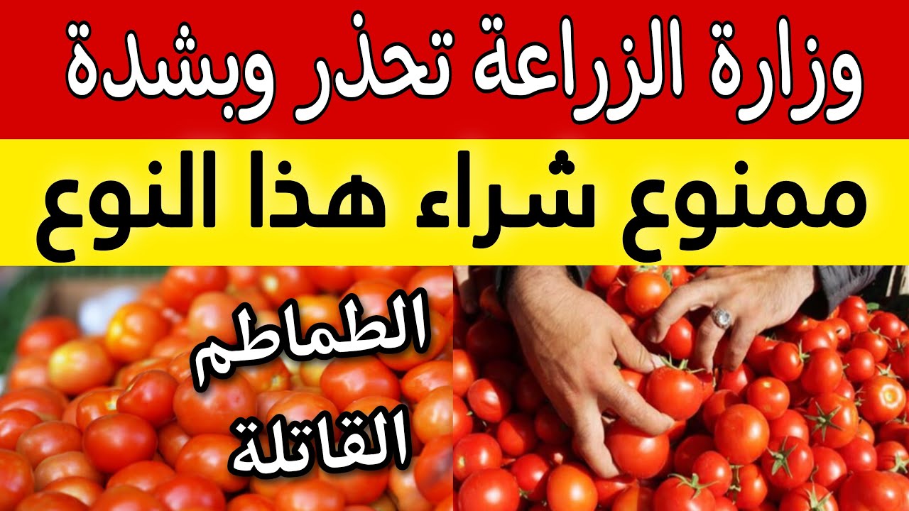 وزارة الصحه المصرية تحذر بشدة من شراء هذا النوع من الطماطم ...