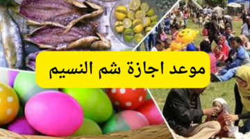 موعد إجازة عيد شم النسيم 2024 للموظفين في القطاع العام والخاص