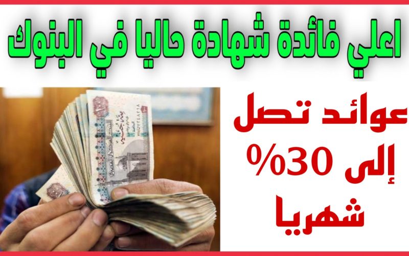 «استثمر فلوسك وما تفكرش كتير»…بعائد يصل لـ 30% شهريًا!!..تعرف على أحسن 6 شهادات ادخارية في البنوك المصرية
