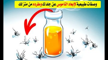 هتنام بدون زن.. طرق فعالة للتخلص من الناموس نهائياً وبدون مبيدات