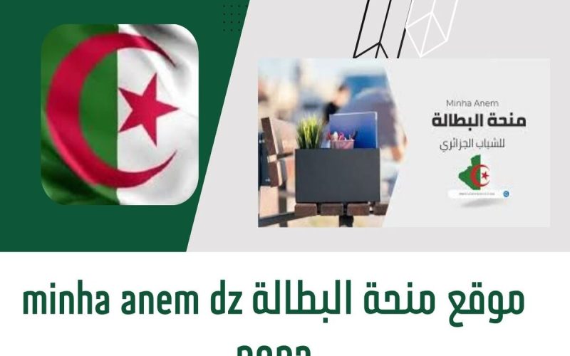 رابط التسجيل في منحة البطالة بالجزائر، بالخطوات والشروط اللازمة