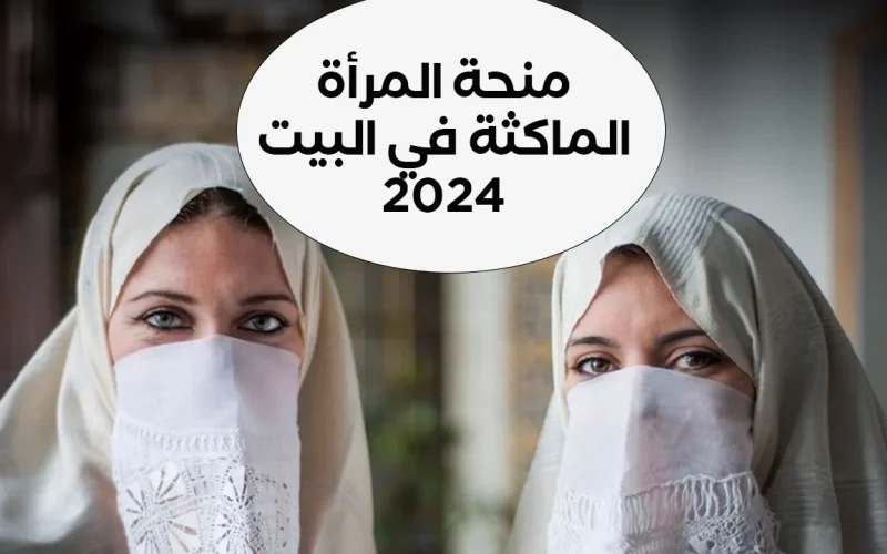 “minha.anem.dz“ التسجيل في منحة المرأة الماكثة في البيت 2024 بالجزائر الوكالة الوطنية للتشغيل