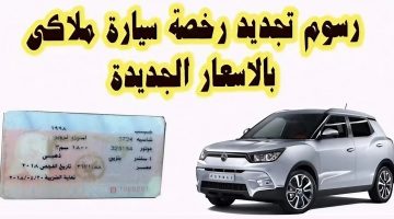 “تتراوح بين 675 إلى 9000 جنيه” رسوم تجديد رخصة سيارة ملاكي لمدة 3 سنوات في مصر