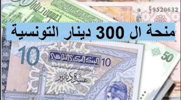 رابط وخطوات التسجيل في منحة 300 دينار تونسي من وزارة الشؤون الاجتماعية وأهم الشروط الأوراق المطلوبة