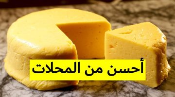 صنعها الرومان وعشقها المصريون…طريقة عمل الجبنة الرومى في البيت مثل الجاهزة بالضبط مفيدة وصحيه لأولادك