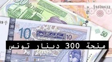 «انتهز الفرصة»…التسجيل في منحة 300 دينار عبر منصة أمان التونسية 2024…سجل واحصل على 300 دينار!!