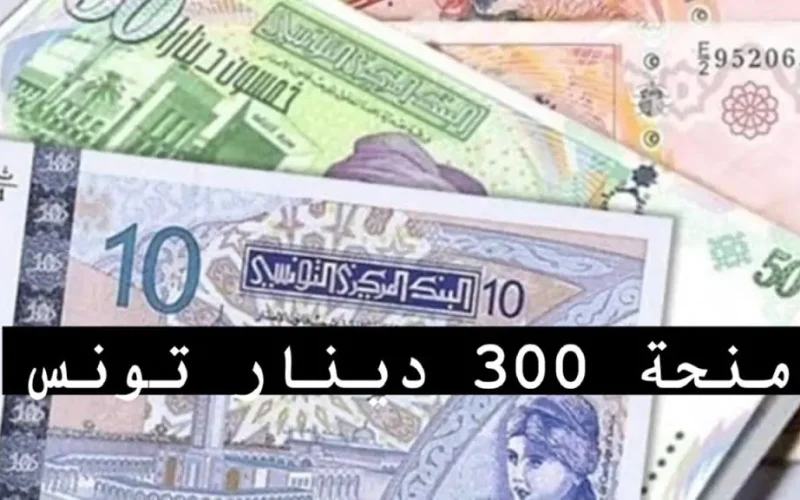 «انتهز الفرصة»…التسجيل في منحة 300 دينار عبر منصة أمان التونسية 2024…سجل واحصل على 300 دينار!!