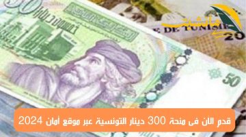 بشري سارة.. قدم الآن فى منحة 300 دينار التونسية من خلال وزارة الضمان الاجتماعي 2024