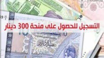 وزارة الشؤون الأجتماعية التونسية تعلن عن شروط منحة 300 دينار 2024 ورابط التسجيل