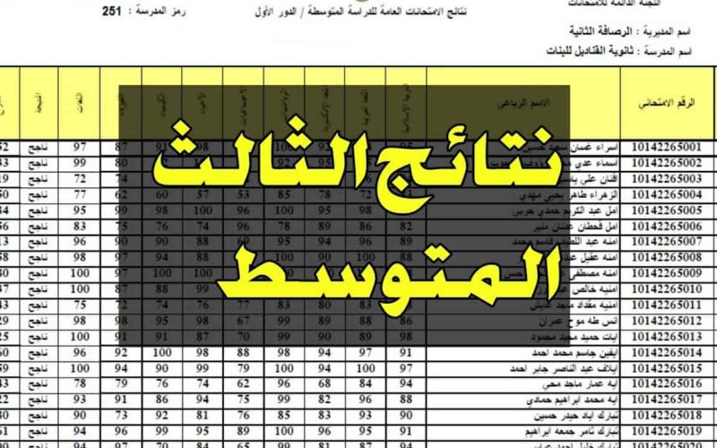رسميًا .. رابط نتائج الثالث المتوسط دور أول بالعراق 2024 موقع نتائجنا ووزارة التربية والتعليم العراقية