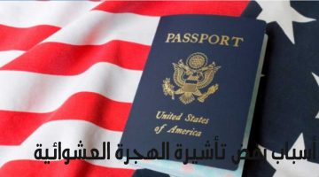 أسباب رفض تأشيرة الهجرة العشوائية لأمريكا 2024